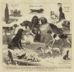 Hundeudstillingen i Crystal Palace
